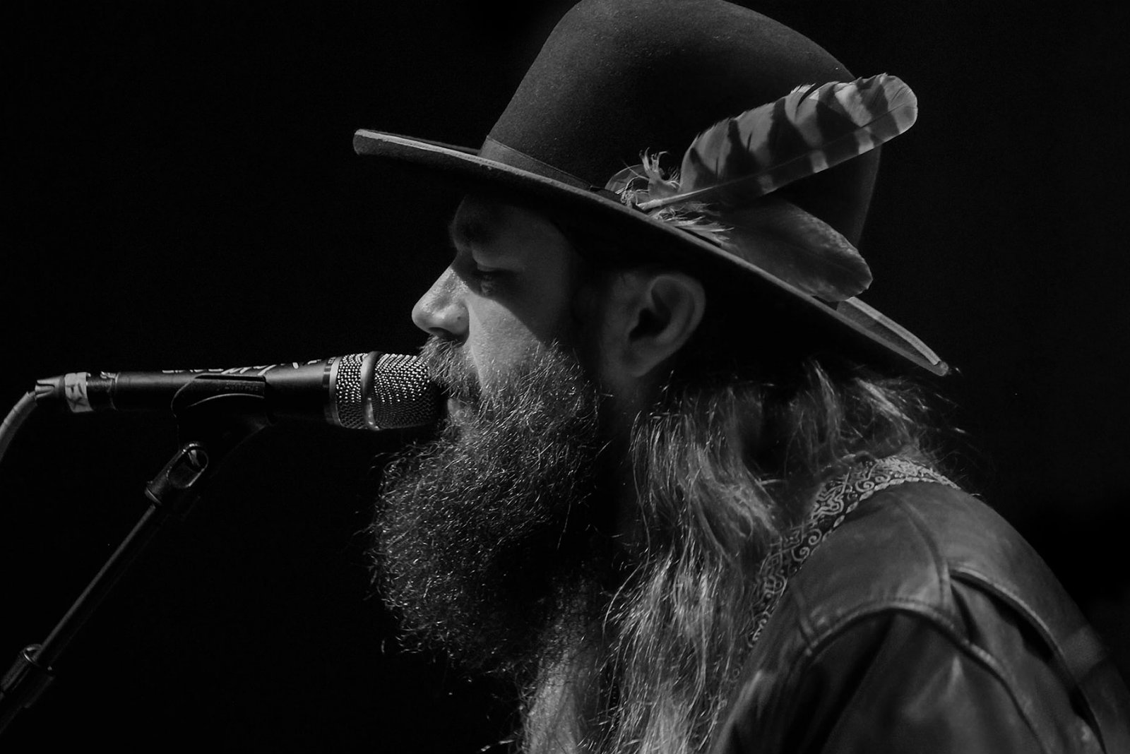 Freshly Squeezed, Vol. 71: Ward Davis, The Magnettes, Lo Lo & more