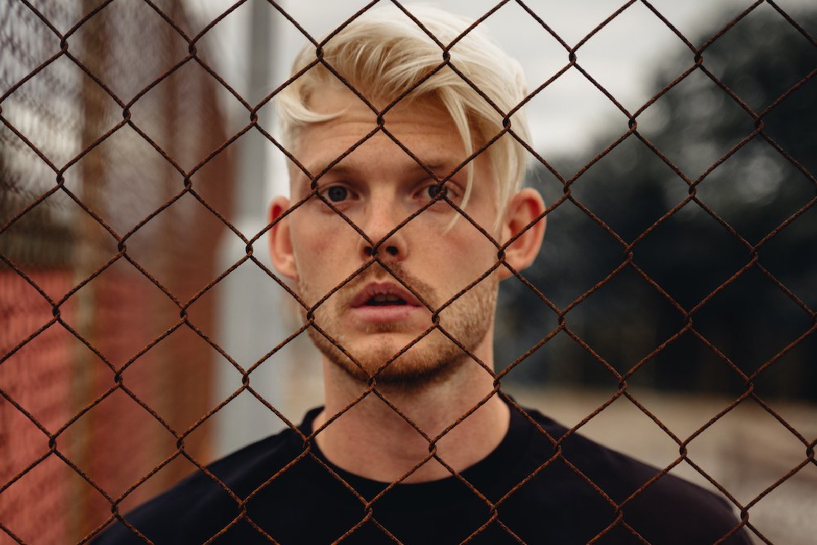 Taste Test: KEV nosedives into ‘What Lovers Do’