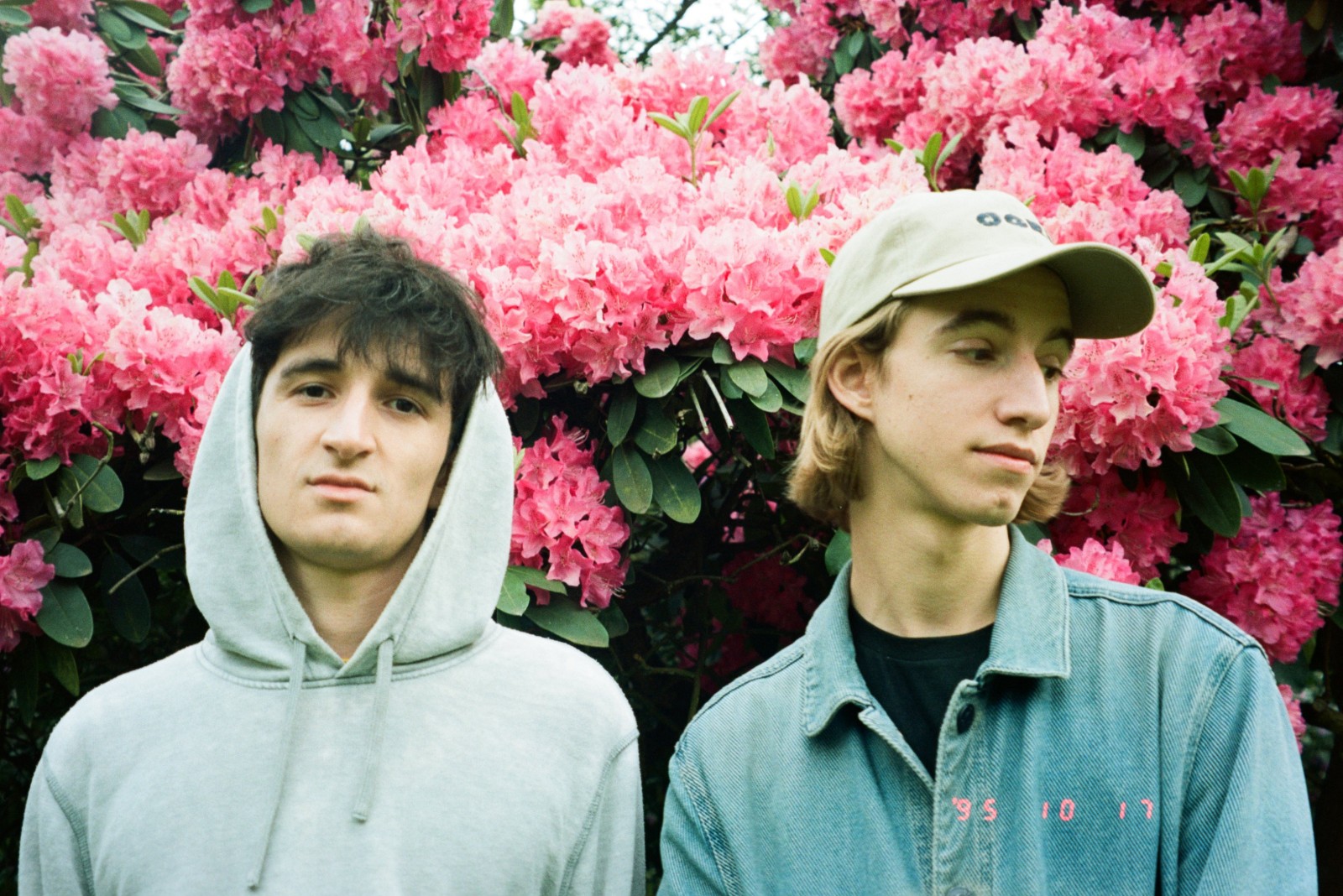 Taste Test: Abc Dialect uncover utter ‘Magic’