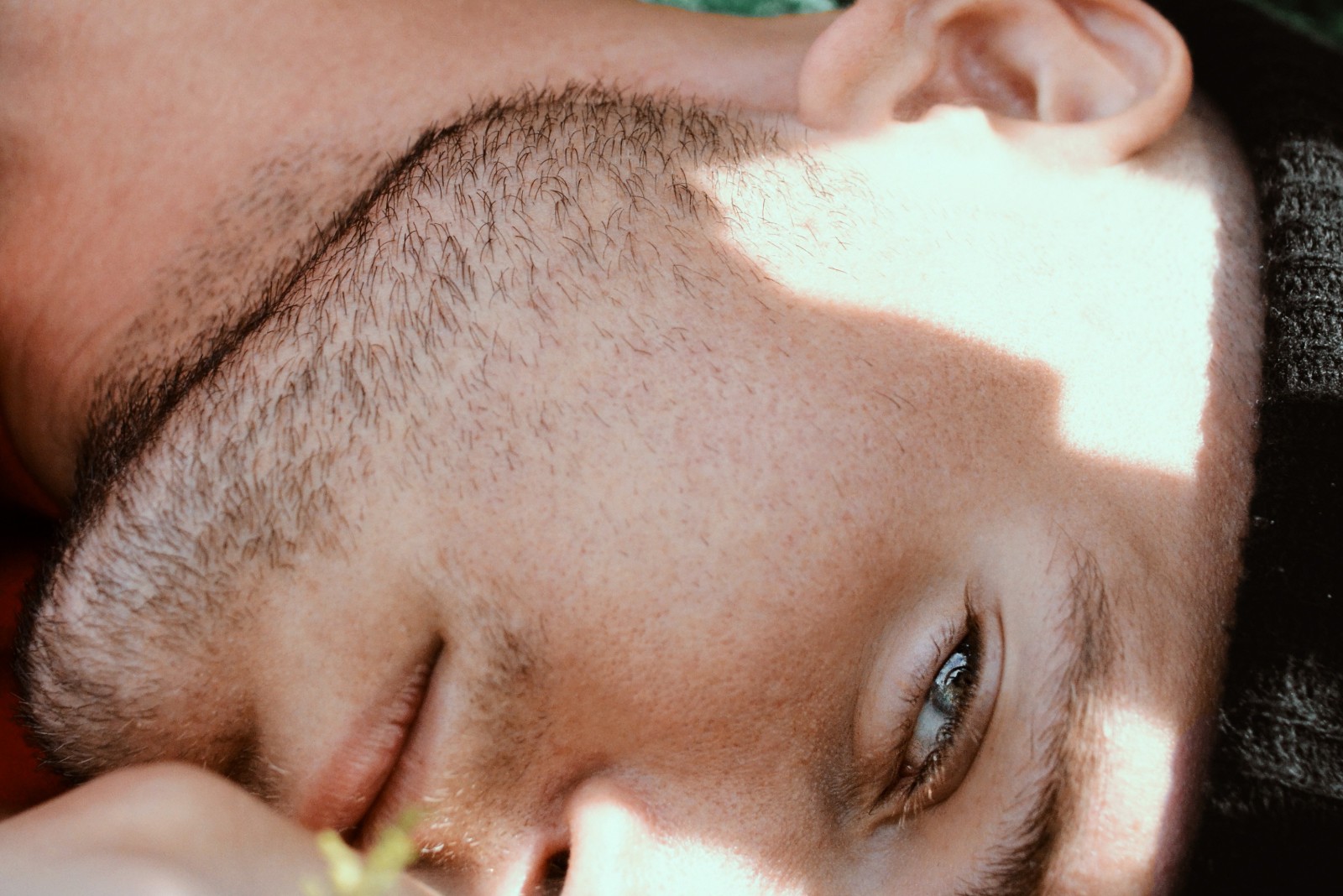 Taste Test: Gavin Haley wades rising waters of love with ‘Show Me’