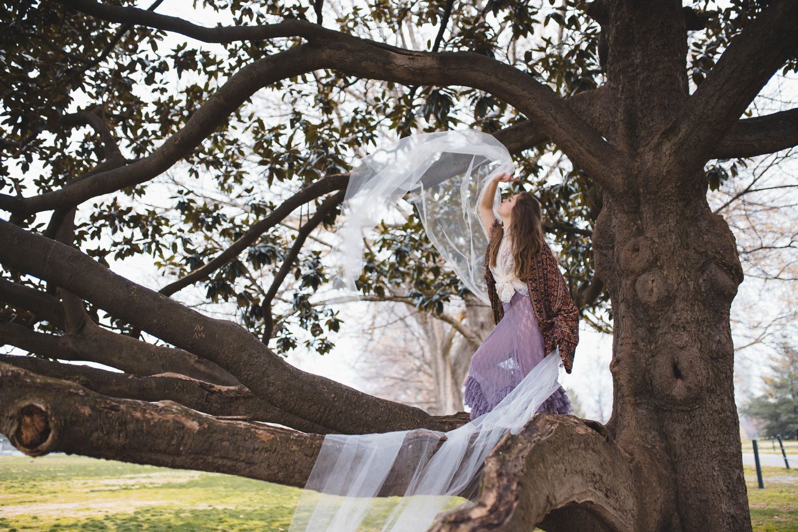 Taste Test: Mary Moore learns to flourish like the sprawling ‘Redwoods’