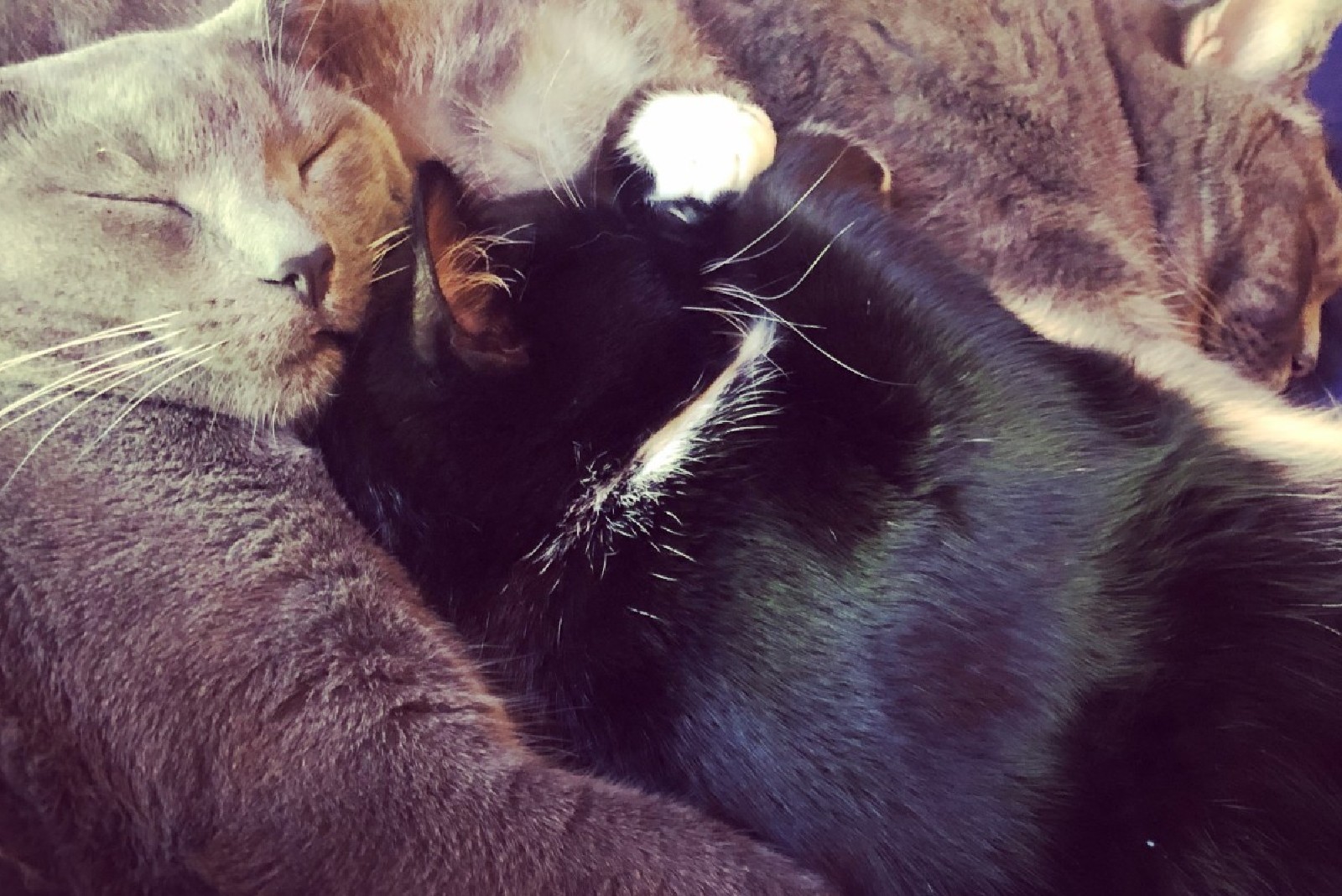 Poem No. 1: Sucker, Almost