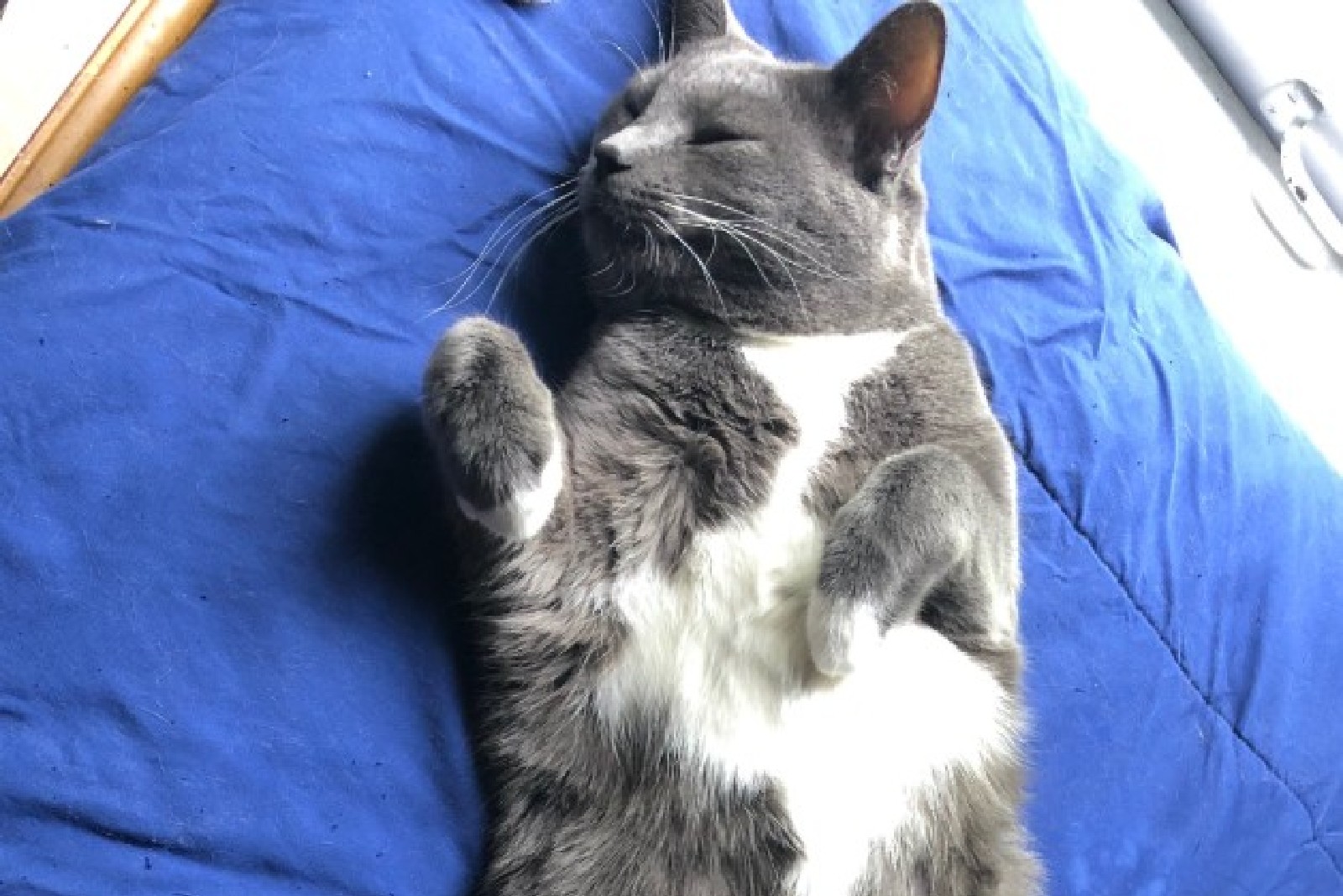 Poem, No. 2: I bleed out my mouth when I’m hungry