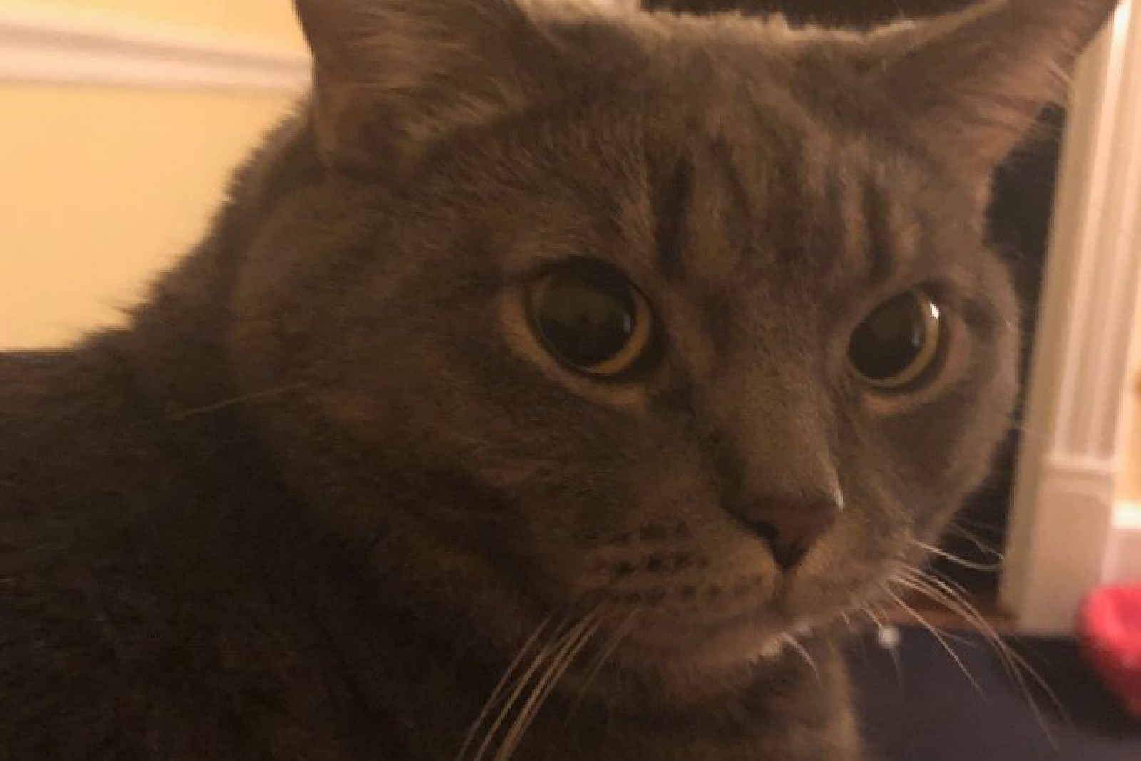 Poem, No. 3: And That Was That