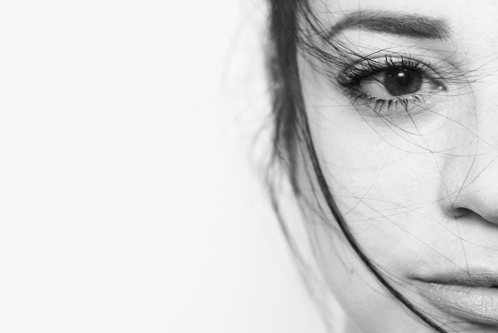 Taste Test: Roses & Revolutions fly as a falcon with new song, ‘Still Standing’