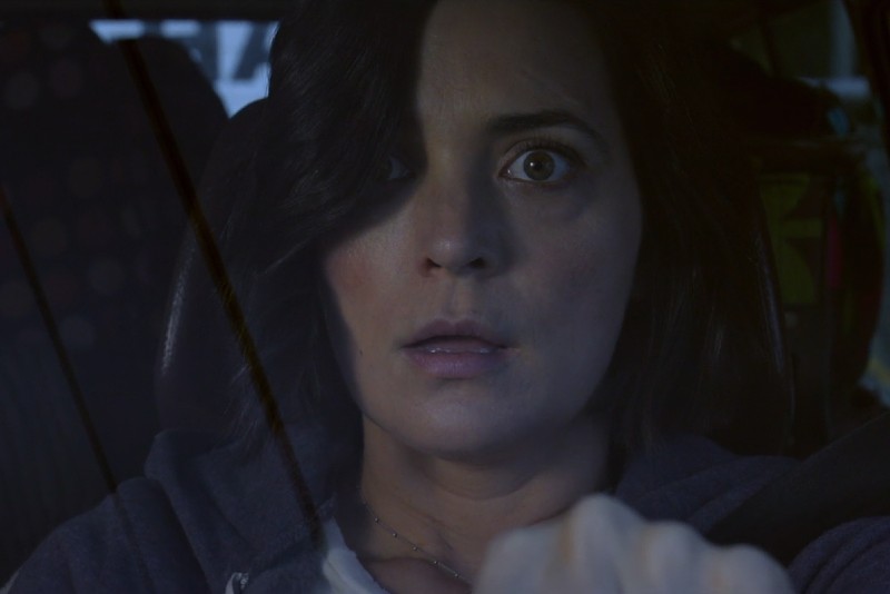 Review: ‘Alone’ is a lean and mean survivalist thriller