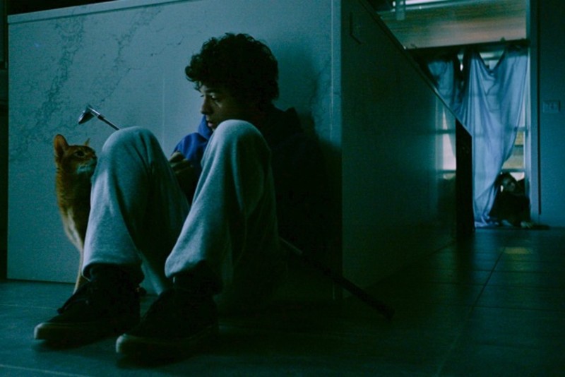 Fantasia Fest 2021: ‘Brain Freeze’ chomps hard on social issues