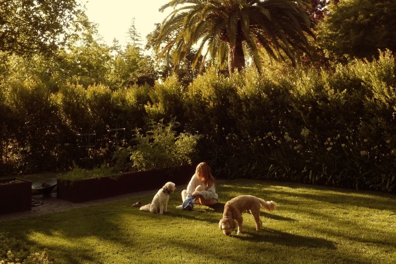 Songs of the Week: Madison Hughes, Cate Tomlinson, & Amelie Patterson