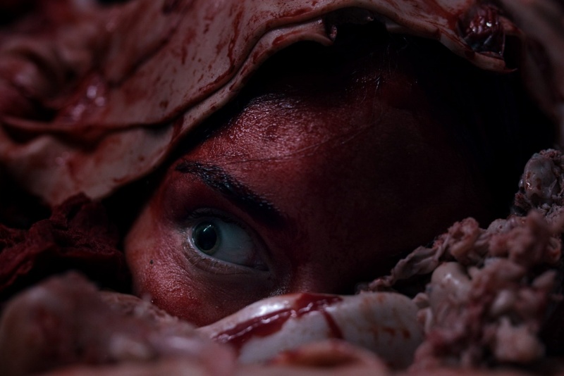 Fantastic Fest 2025: ‘Meat Kills’ is deadly fun