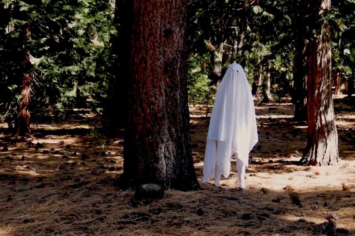 Unnamed Footage Festival 2026: ‘This House is Totally Haunted’ turns the creep on high