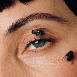 The Singles Bar: ill peach – SMALL TALK