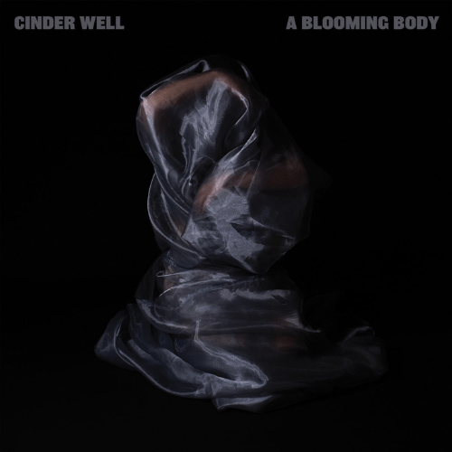 The Singles Bar: Cinder Well – While the Womb Screams Silently