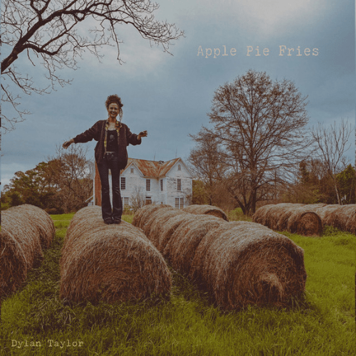 The Singles Bar: Dylan Taylor – Apple Pie Fries