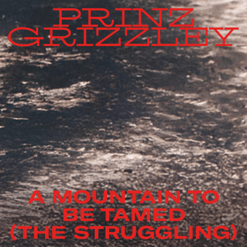 Video Killed the Radio Star: Prinz Grizzley – A Mountain to Be Tamed (The Struggling)