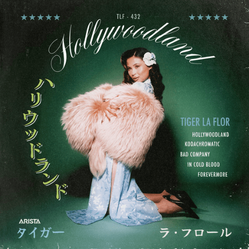 Video Killed the Radio Star: Tiger La Flor – HOLLYWOODLAND